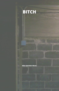 Bitch